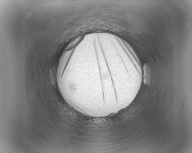 X0000051881491200507221936