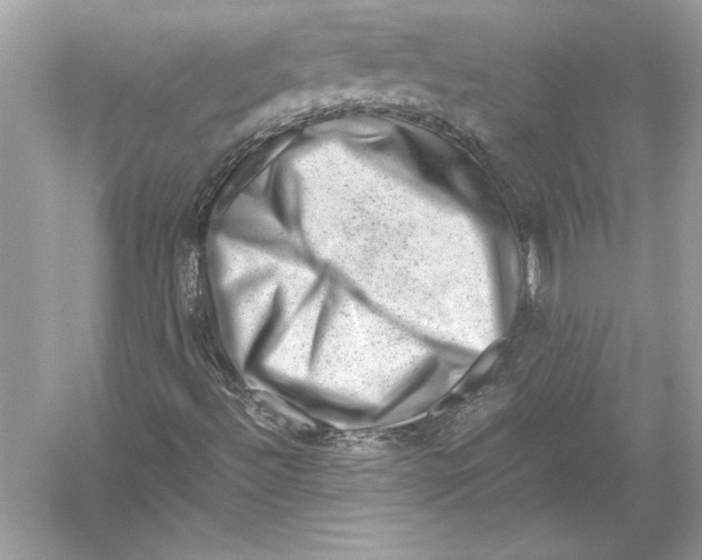 X0000051881492200507221936