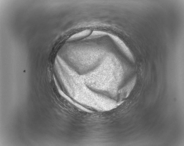 X0000051881493200507221936