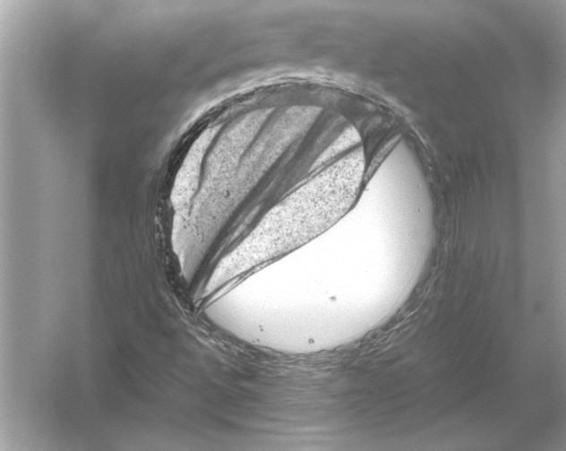 X0000051881496200507221936