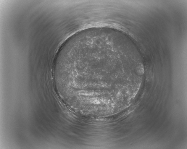 X0000051881497200507221936