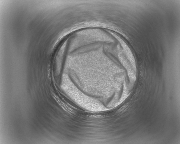 X0000051881499200507221936