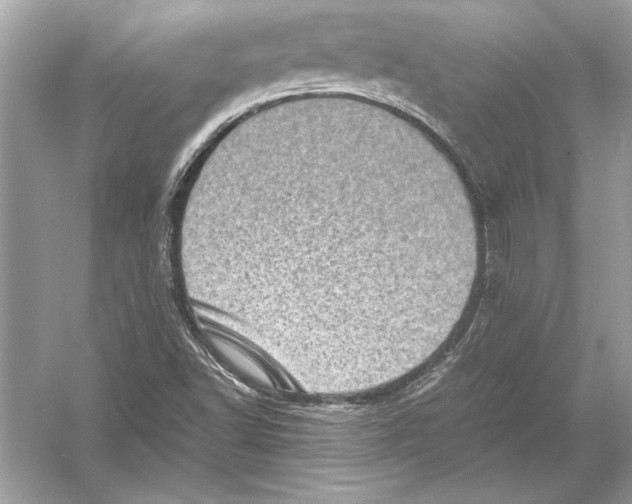 X0000051881502200507221936