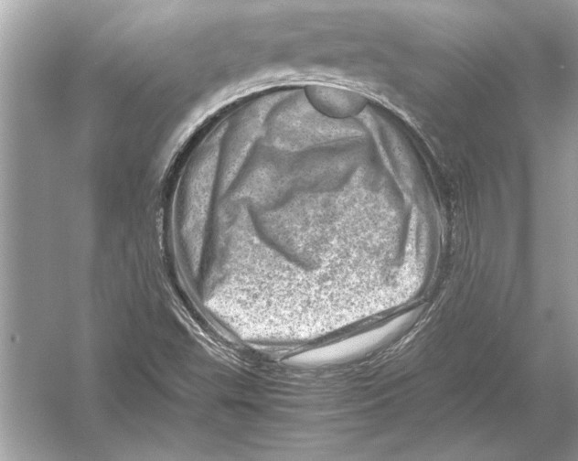 X0000051881503200507221936