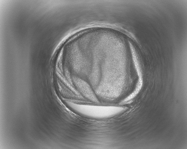 X0000051881504200507221936