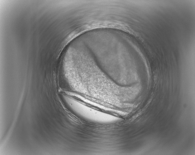 X0000051881505200507221936