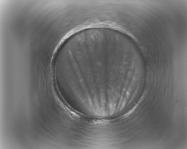 X0000051881506200507221936