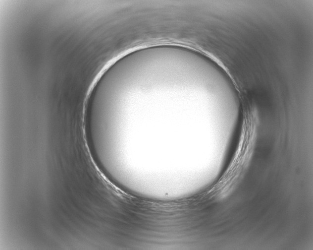 X0000051881508200507221936