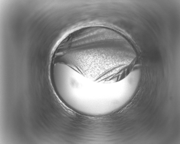 X0000051881512200507221936