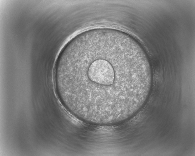 X0000051881514200507221936