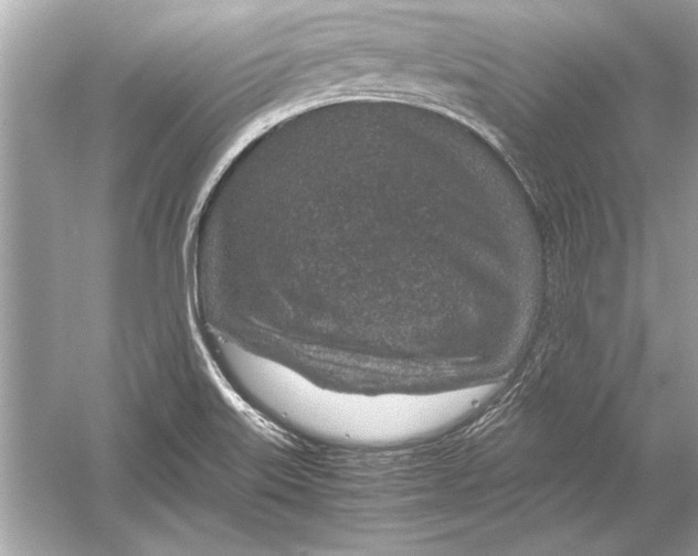 X0000051881515200507221936