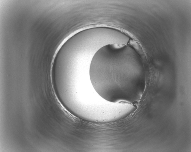 X0000051881516200507221936