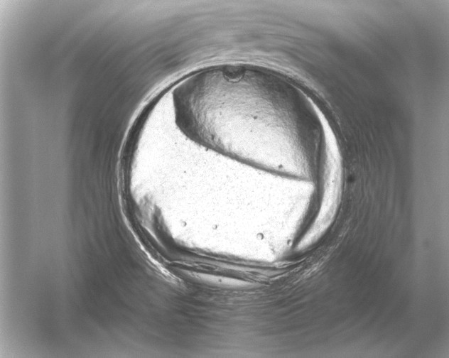 X0000051881517200507221936