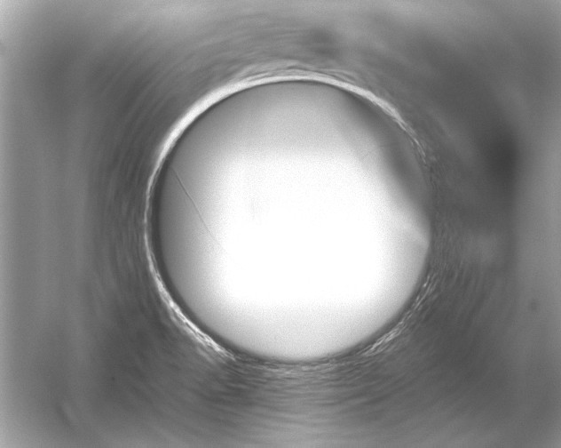 X0000051881518200507221936