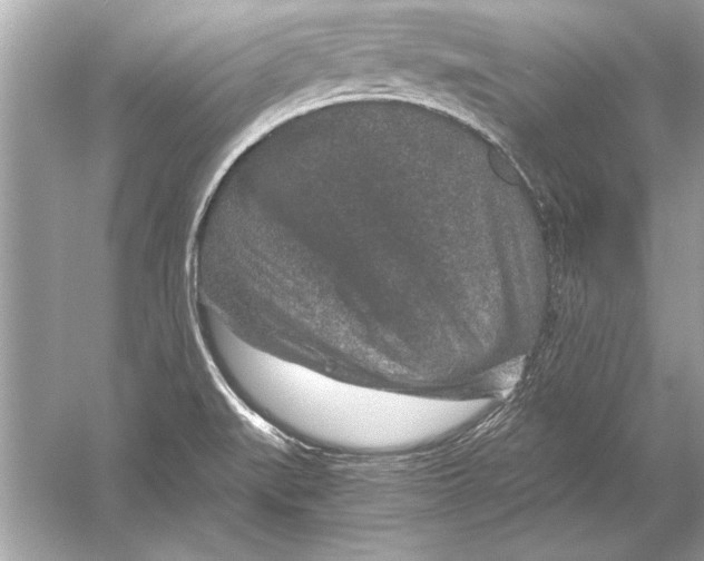 X0000051881519200507221936