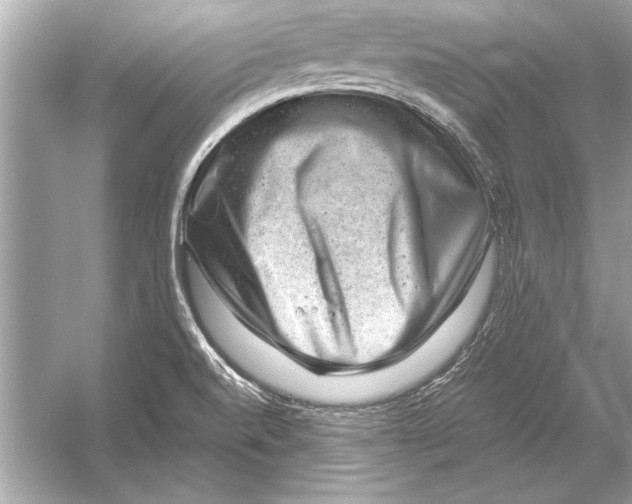 X0000051881520200507221936