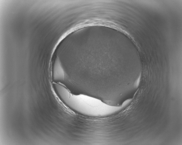 X0000051881522200507221936