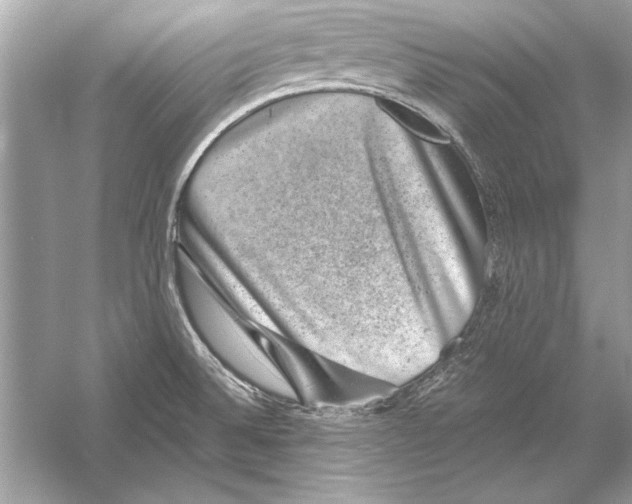 X0000051881524200507221936