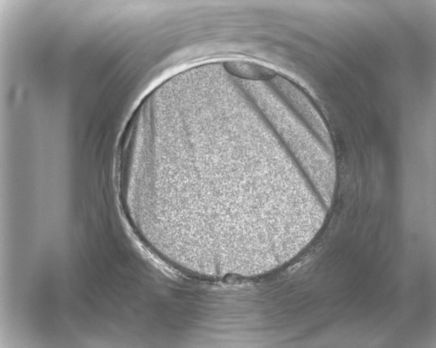 X0000051881526200507221936