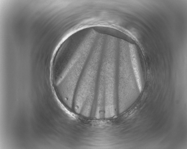 X0000051881528200507221936