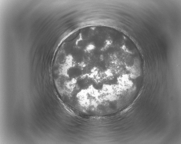 X0000051881529200507221936