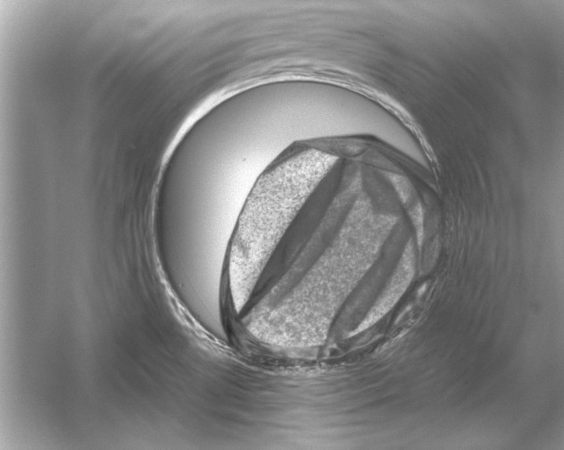 X0000051881530200507221936