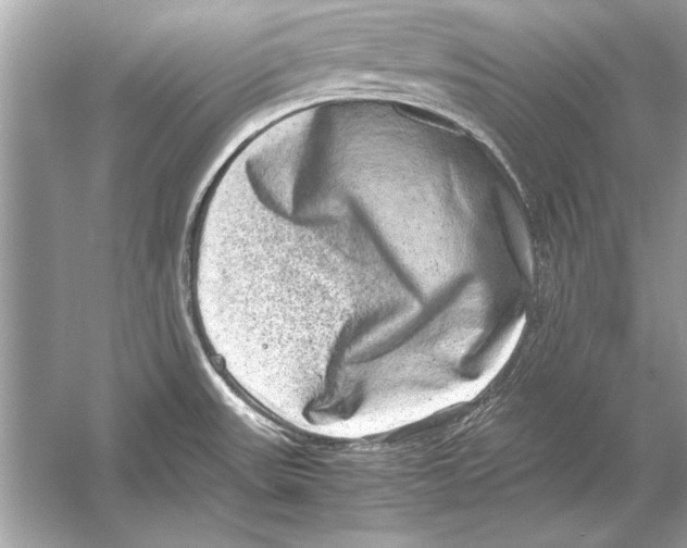 X0000051881531200507221936