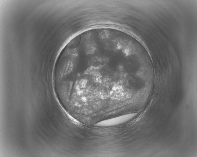 X0000051881533200507221936