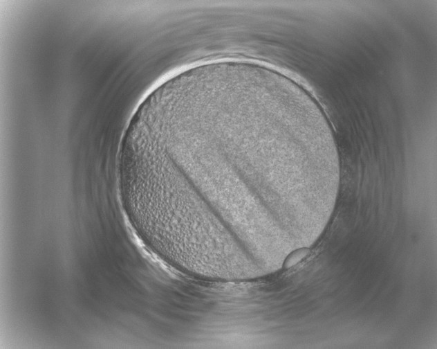 X0000051881534200507221936