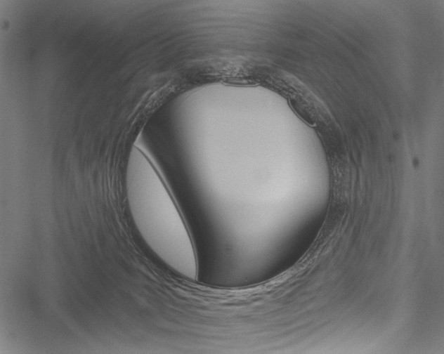 X0000051890035200506241013