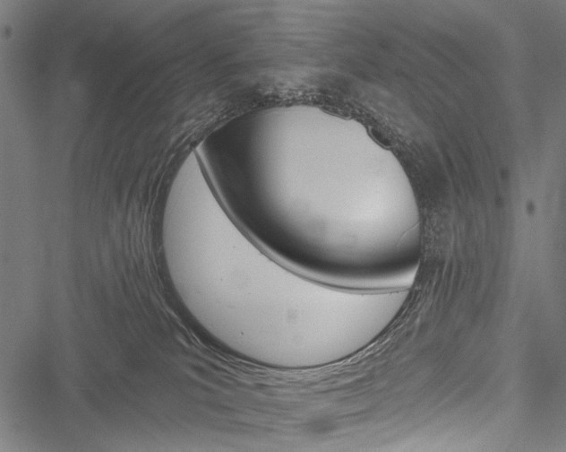 X0000051890039200506241013