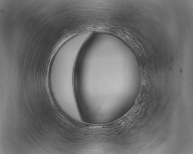 X0000051890052200506241012