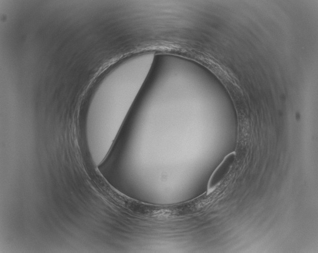 X0000051890064200506241013