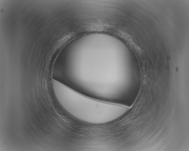 X0000051890068200506241013