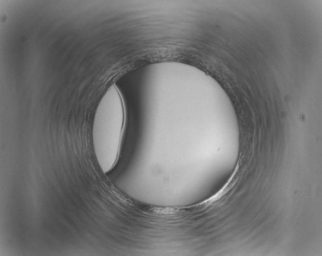 X0000051890144200506241011