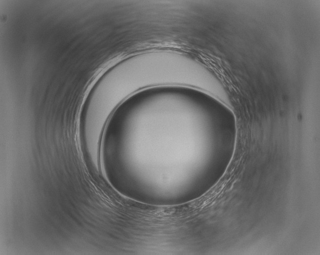 X0000051890148200506241011
