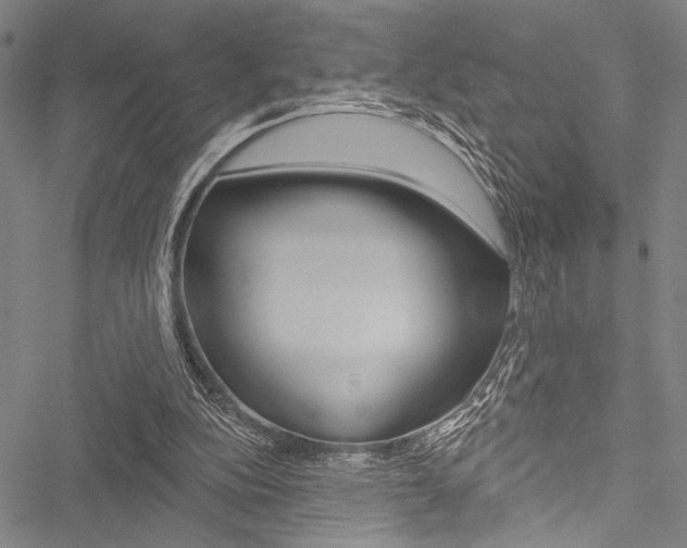 X0000051890152200506241011