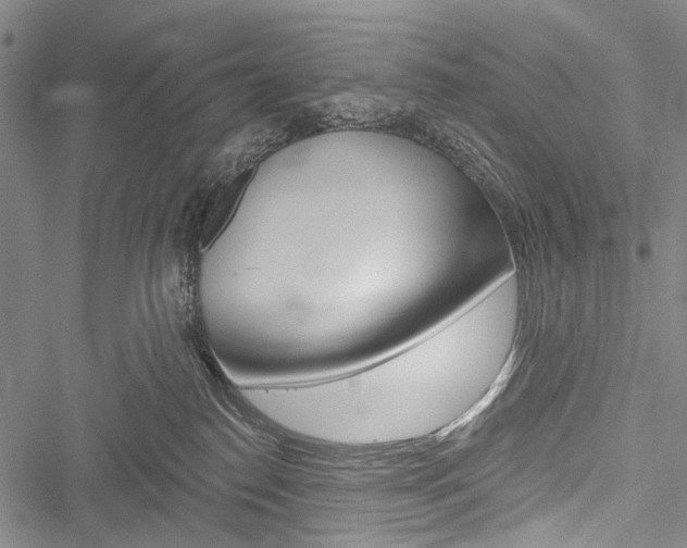 X0000051890186200506241011
