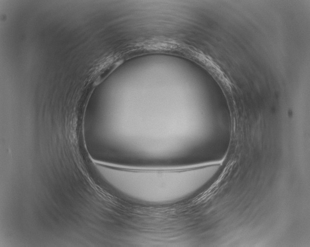 X0000051890201200506241011