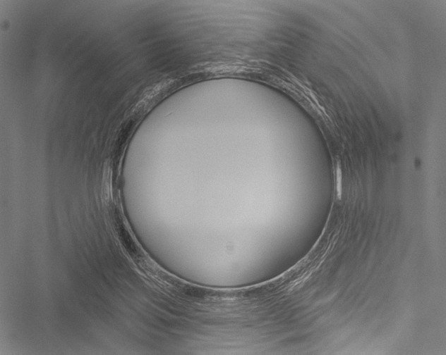 X0000051890205200506241010