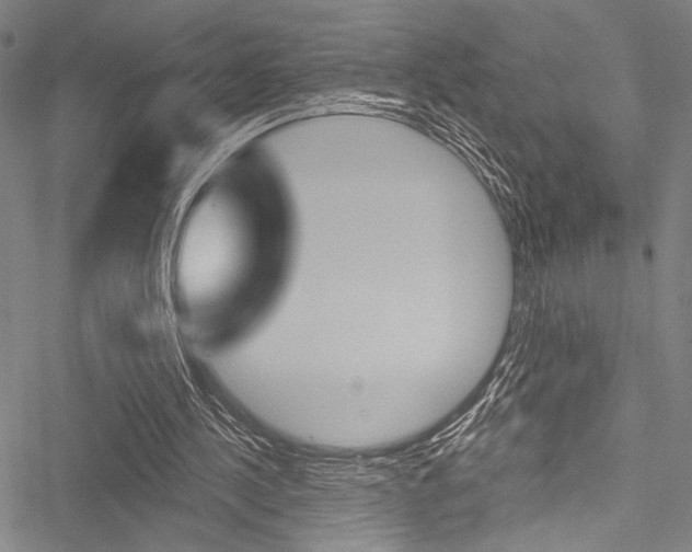 X0000051890244200506241009