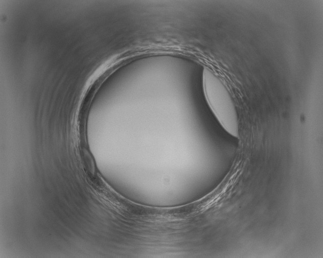 X0000051890246200506241009