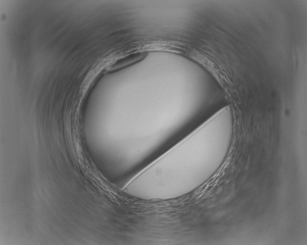 X0000051890289200506241009