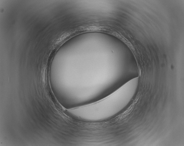 X0000051890301200506241009
