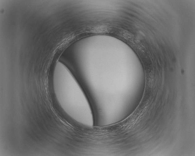 X0000051890303200506241009