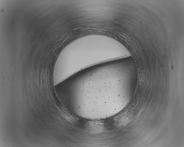 X0000051890327200506241008