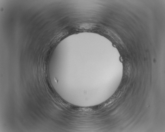 X0000051890328200506241008