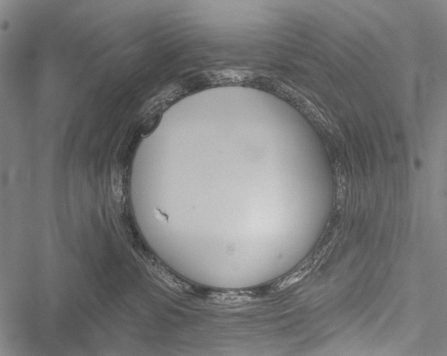 X0000051890331200506241008