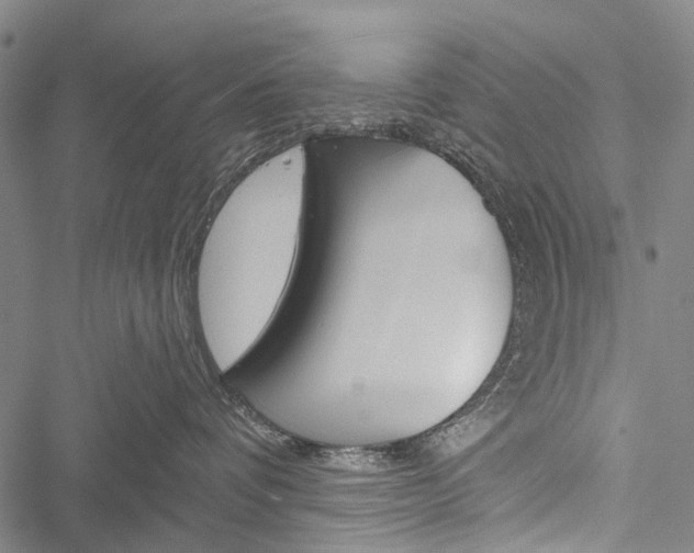 X0000051890336200506241008