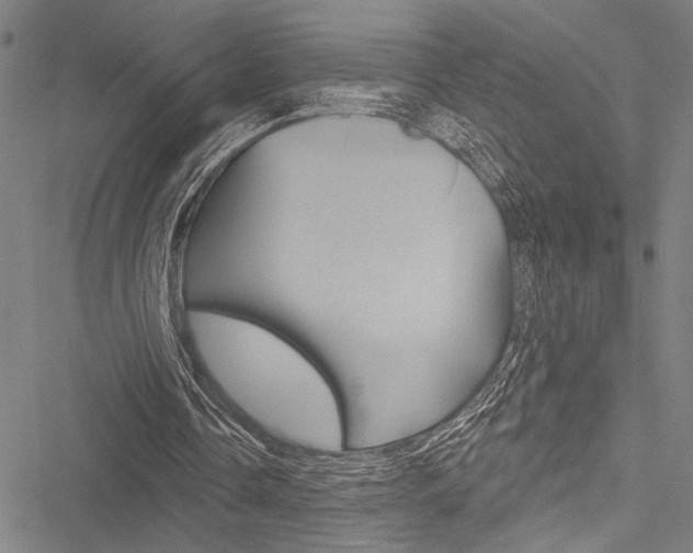 X0000051890338200506241008